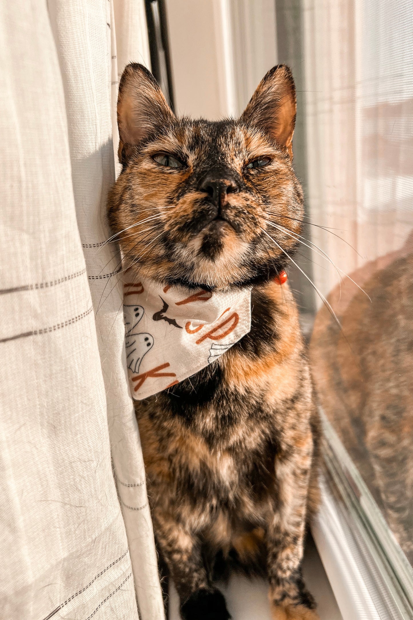 Spooky Ghosts Bandana