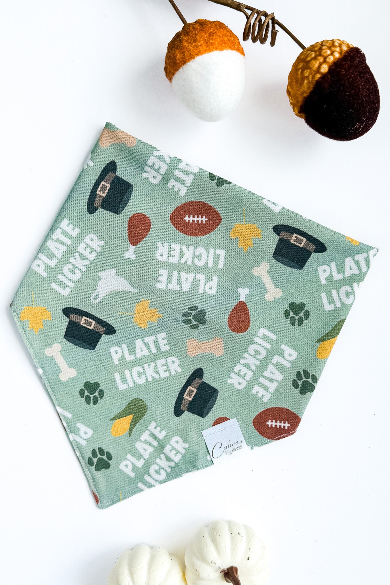 Plate Licker Bandana