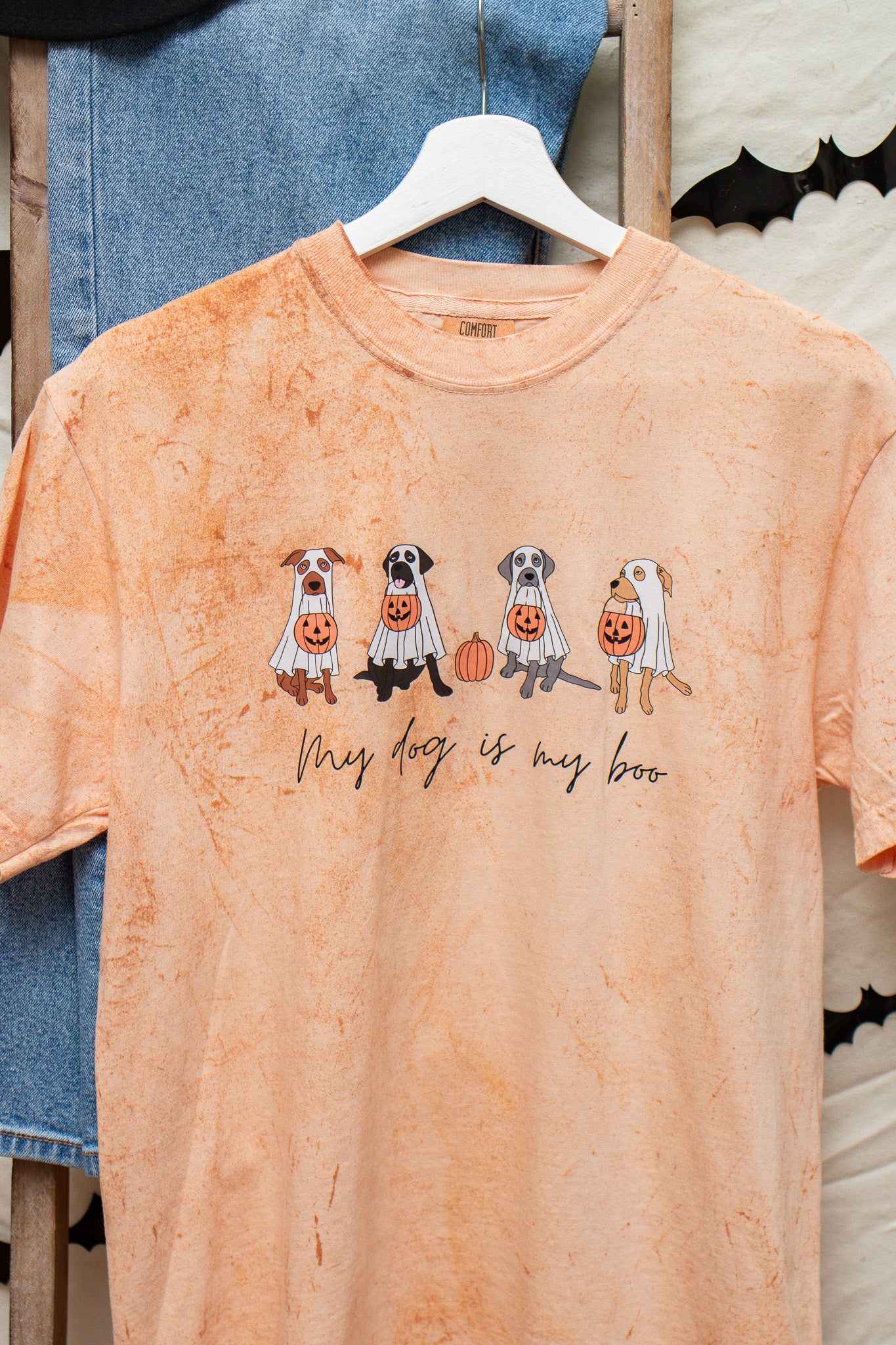 My Dog Is My Boo Graphic Tee (umber)