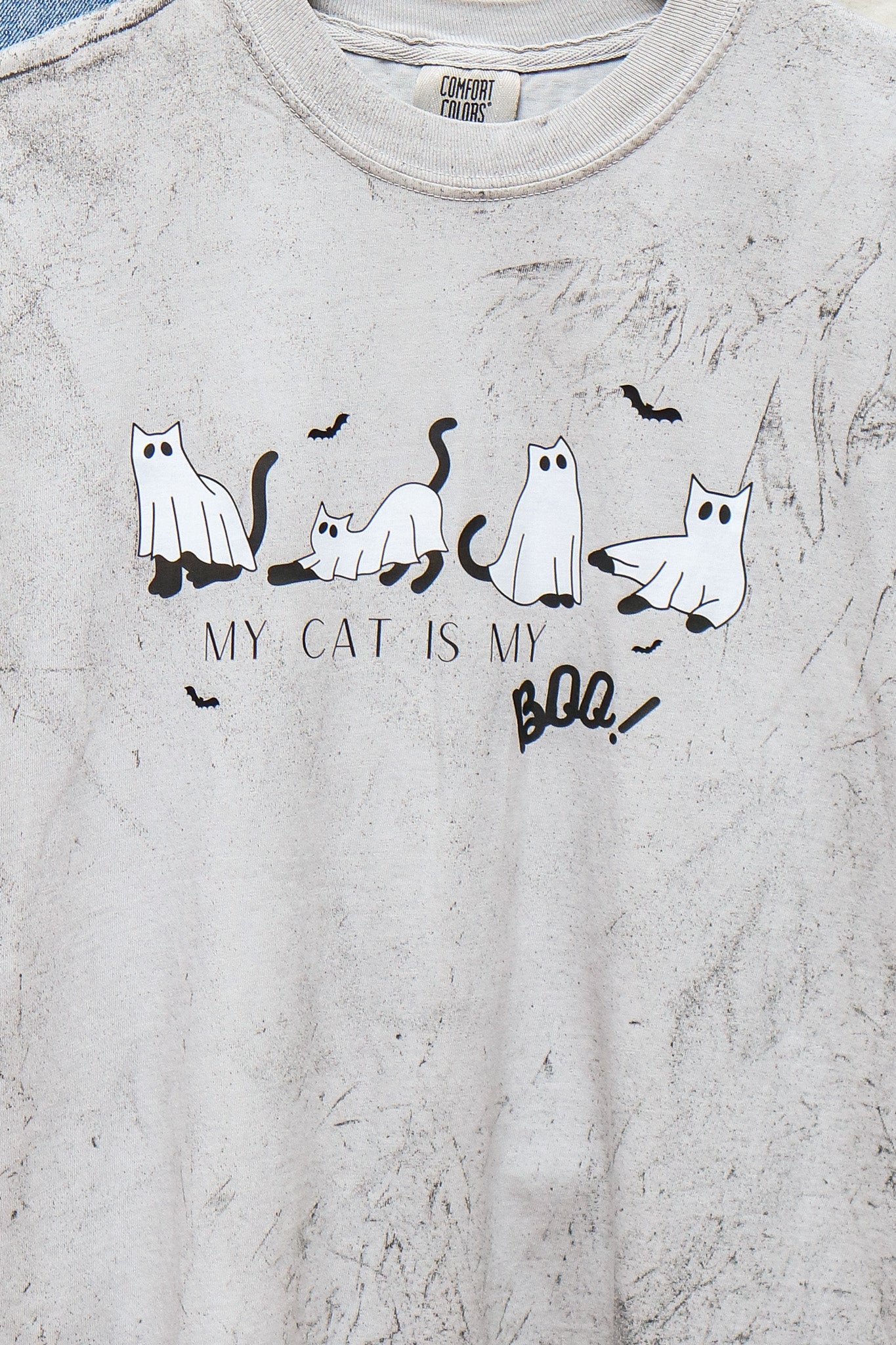 My Cat Is My Boo Graphic Tee (smoke)