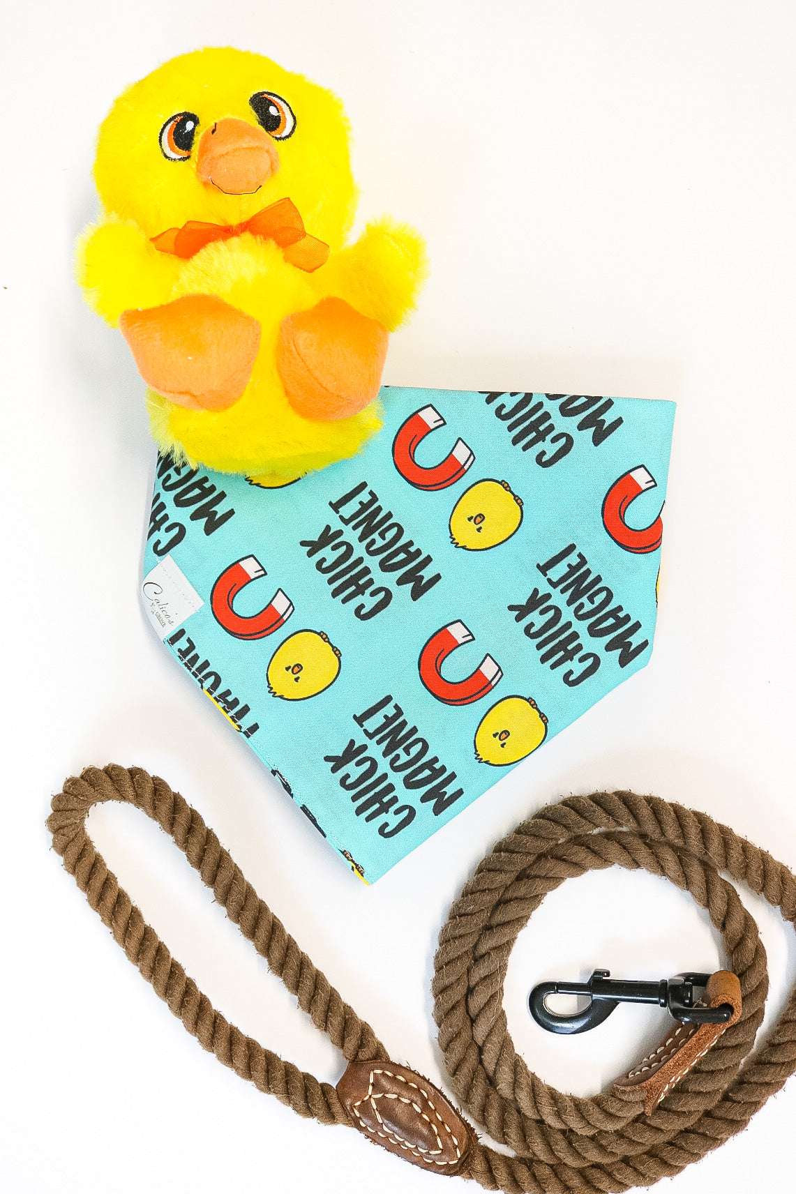 Chick Magnet Bandana