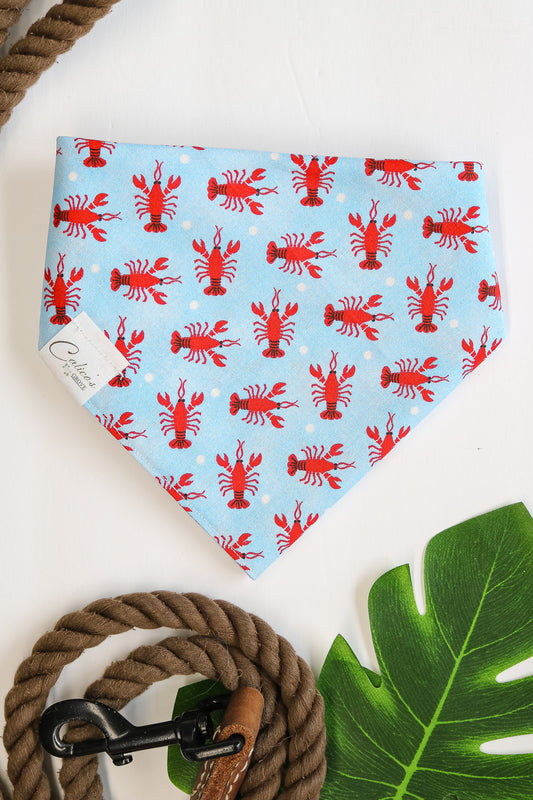 Lobster Time Bandana