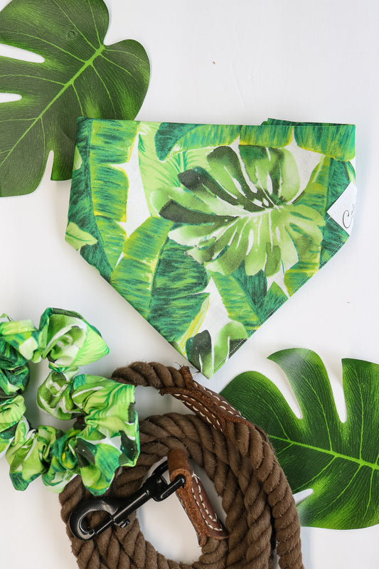 Palm Leaves Bandana