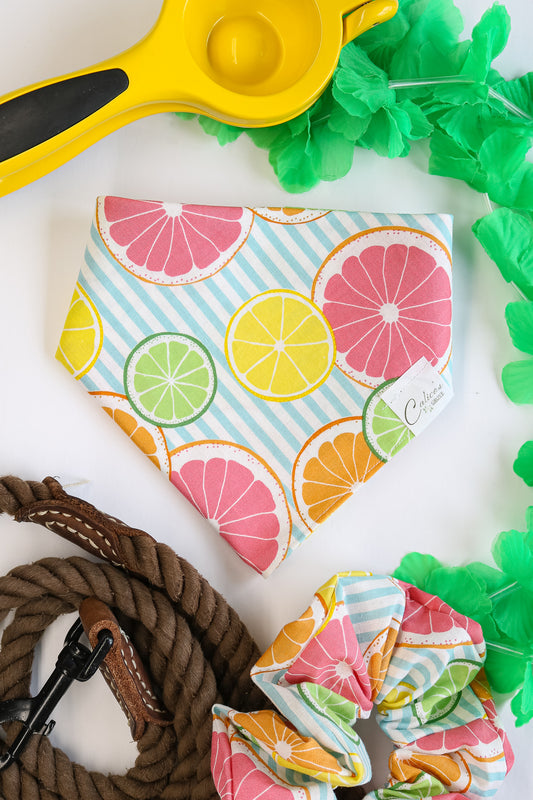 Fruit Slices Bandana