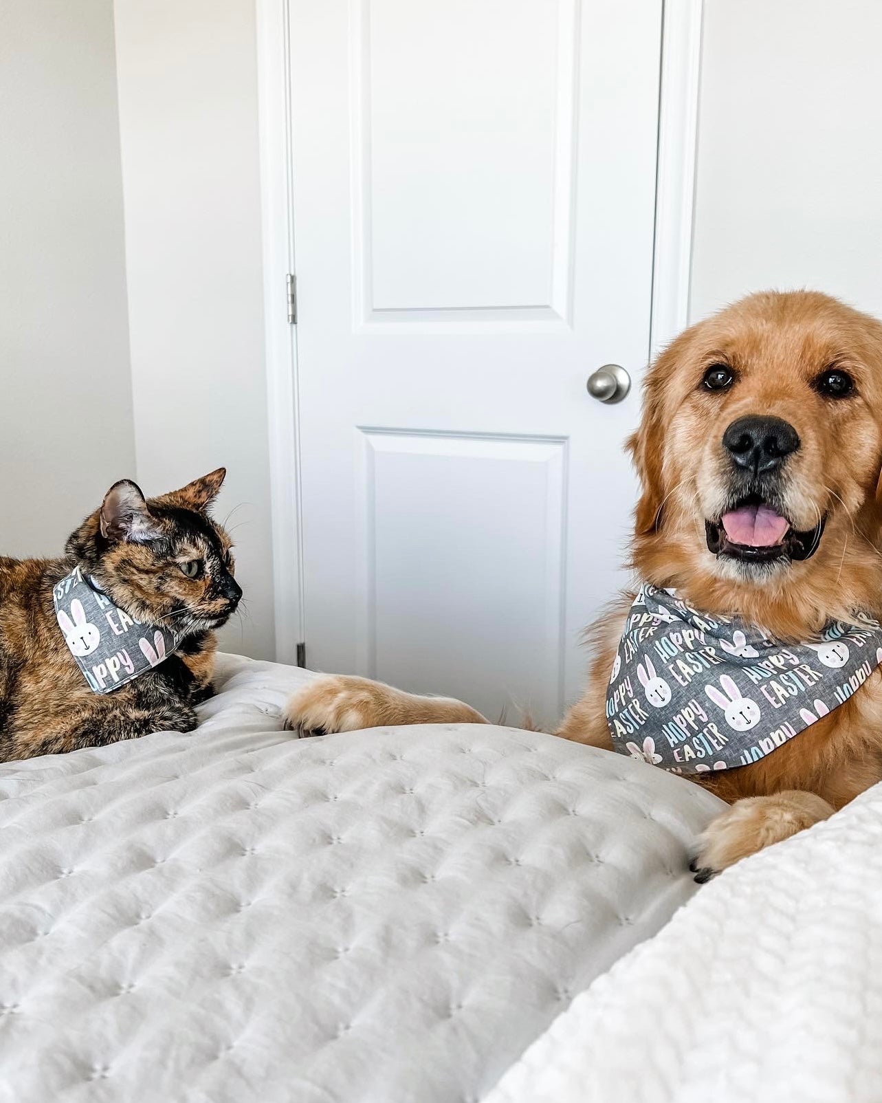 Hoppy Easter Bandana