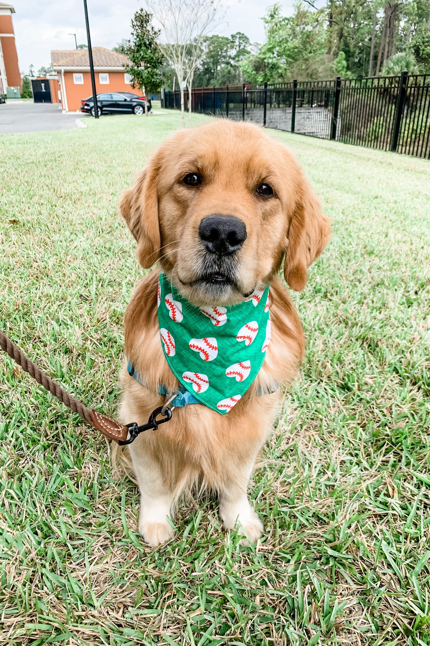 Baseball Love Bandana
