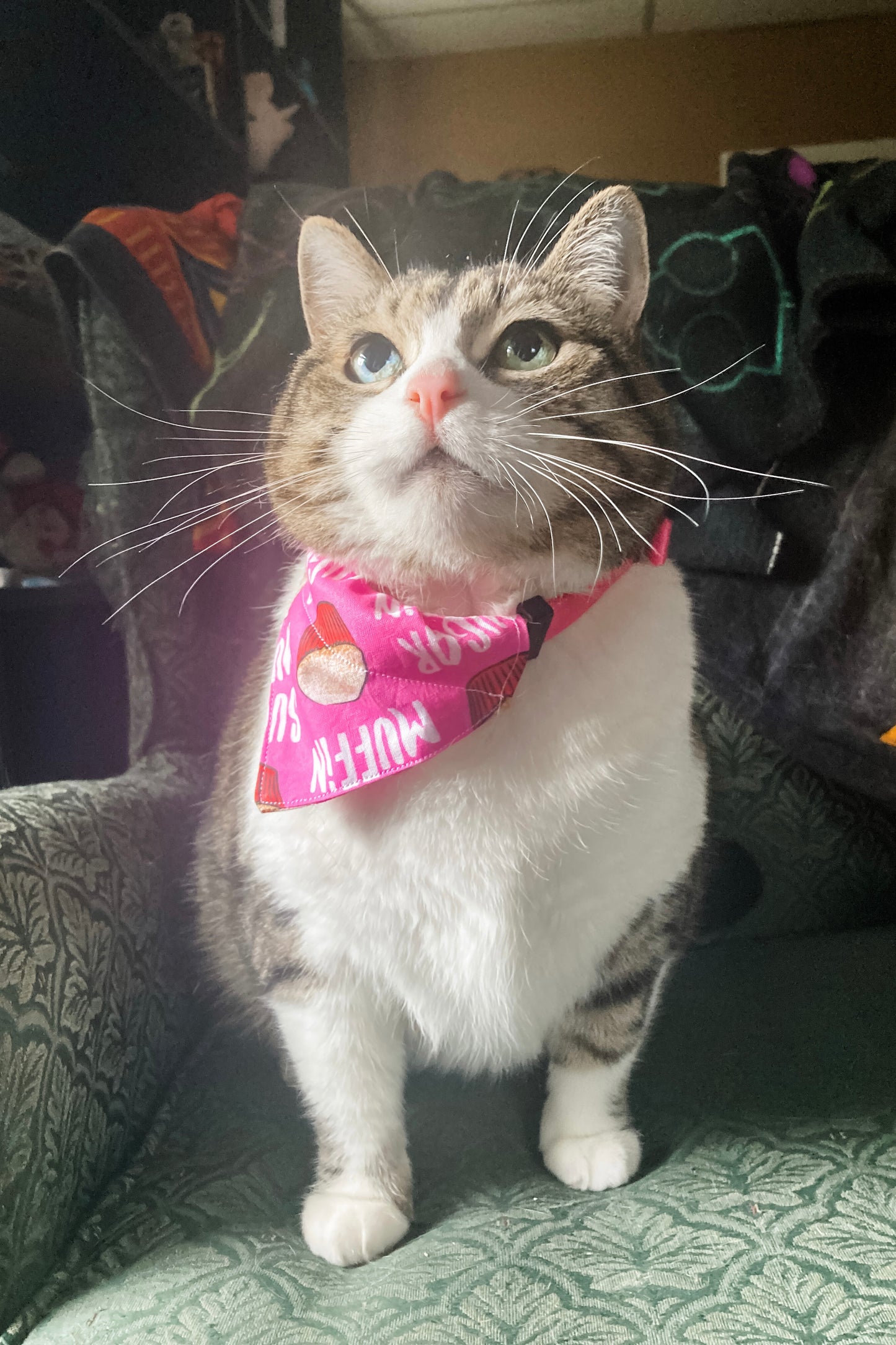 Sugar Muffin Bandana