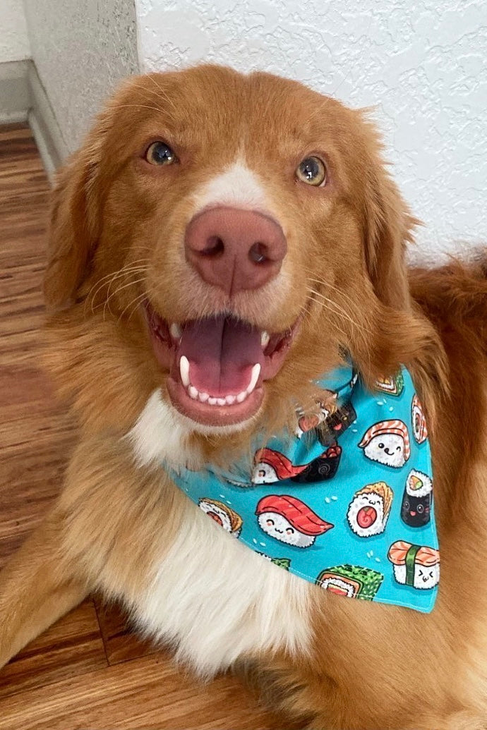 Sushi Delight Bandana