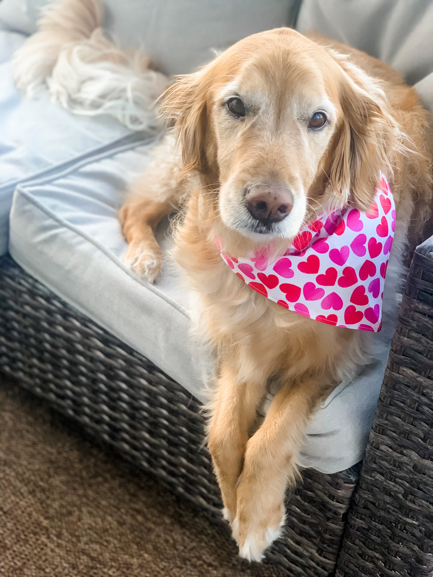 Hearts Of Love Reversible Bandana
