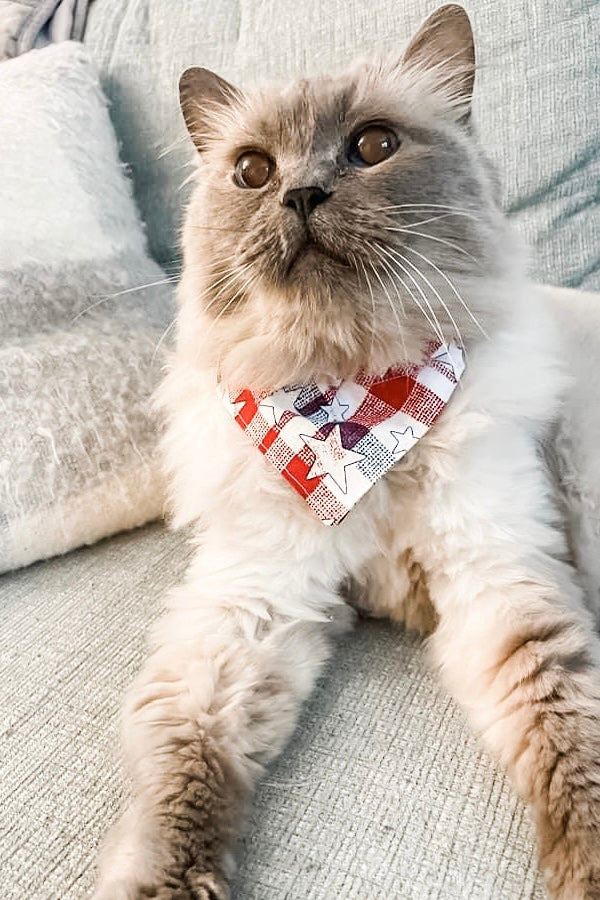 American Plaid Bandana