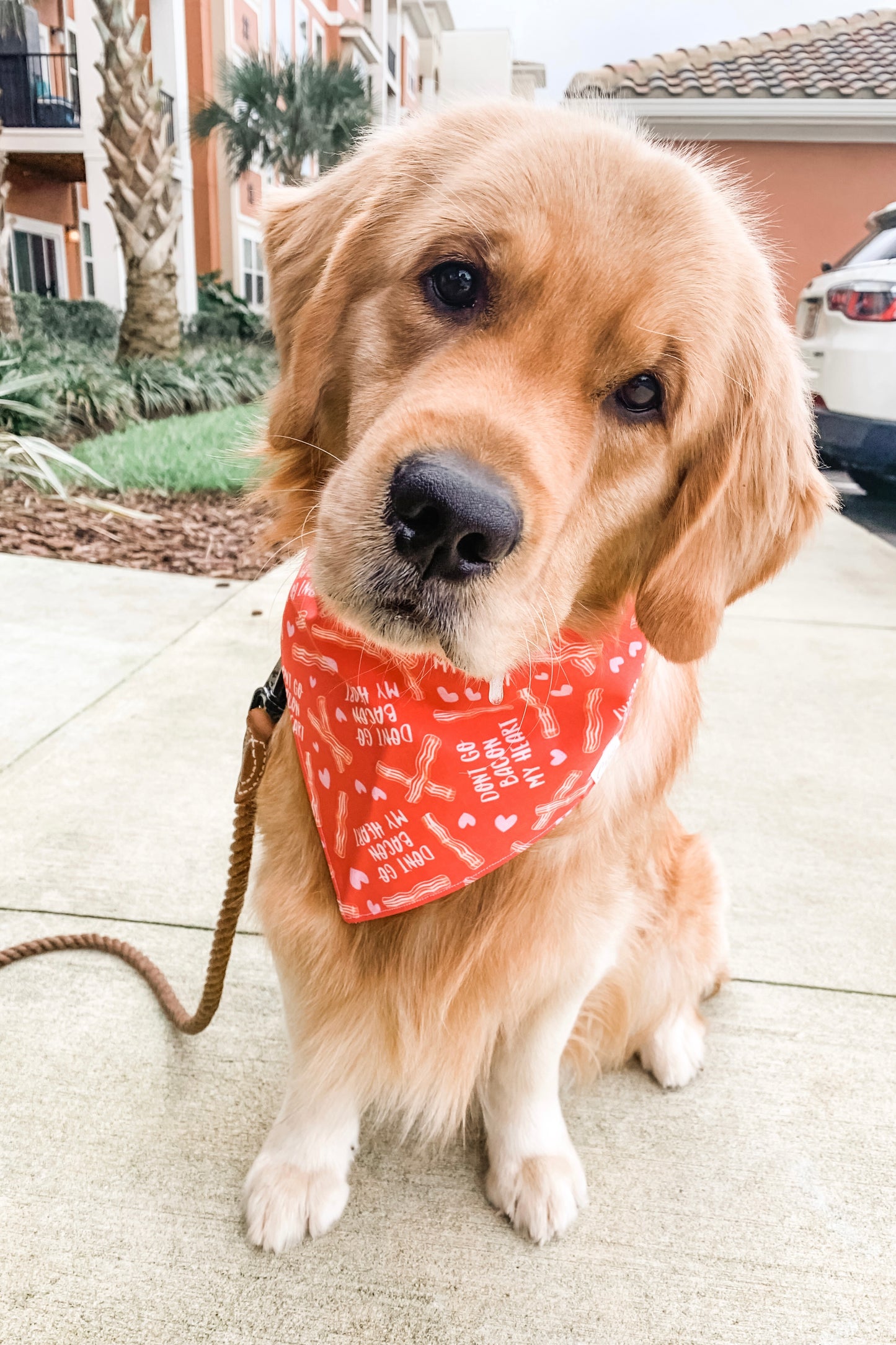 Bacon My Heart Bandana