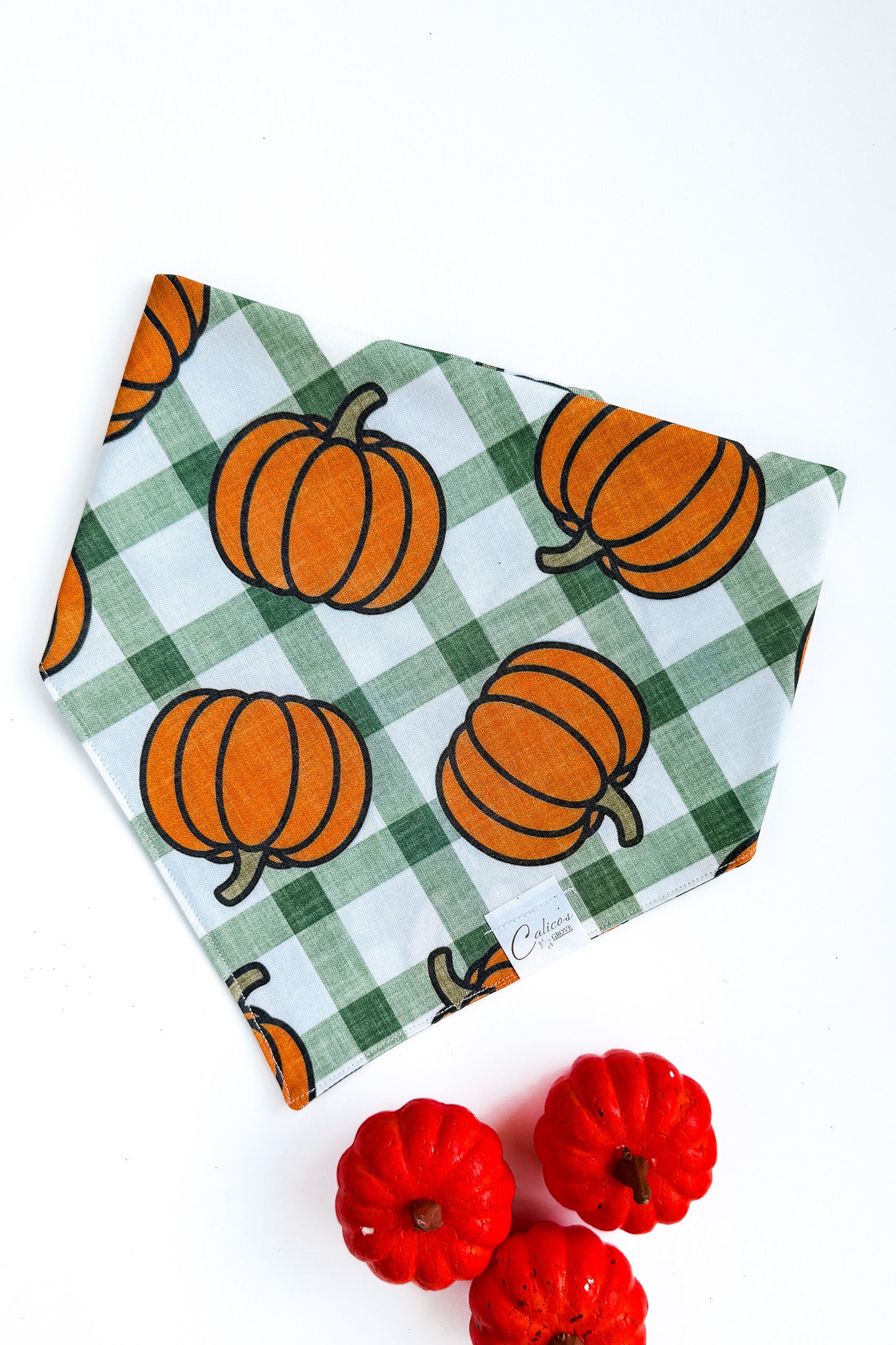 Pumpkin Patch Bandana