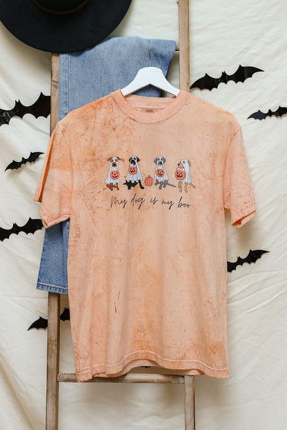 My Dog Is My Boo Graphic Tee (umber)
