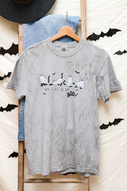 My Cat Is My Boo Graphic Tee (smoke)