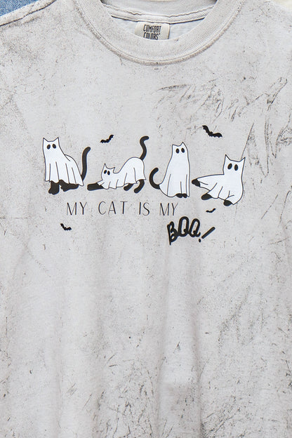 My Cat Is My Boo Graphic Tee (smoke)