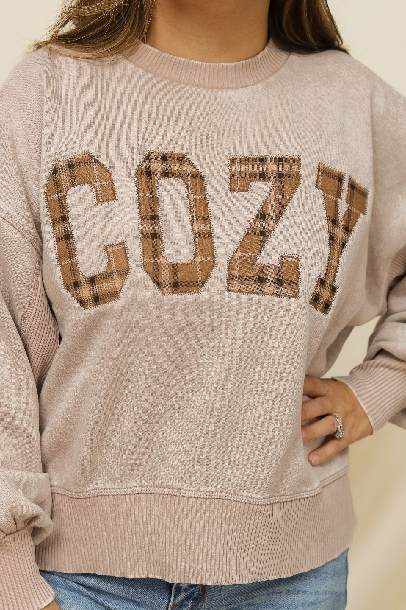 Cozy Stitched Graphic Pullover (plaid)