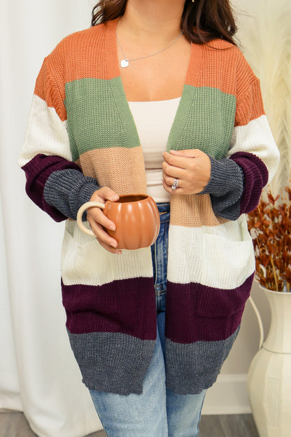 Colors of Autumn Striped Cardigan