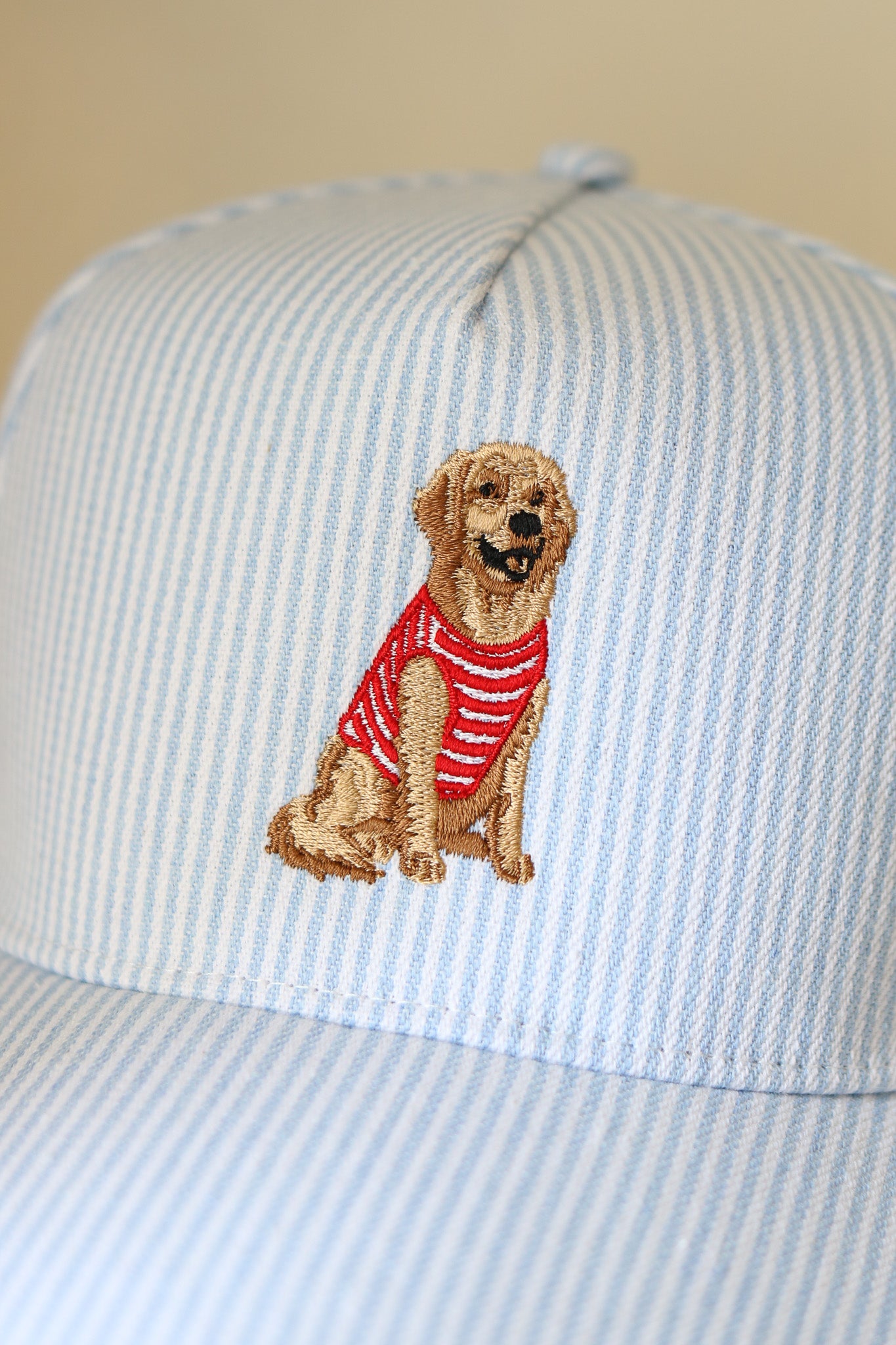 Striped Golden Retriever Hat (blue)