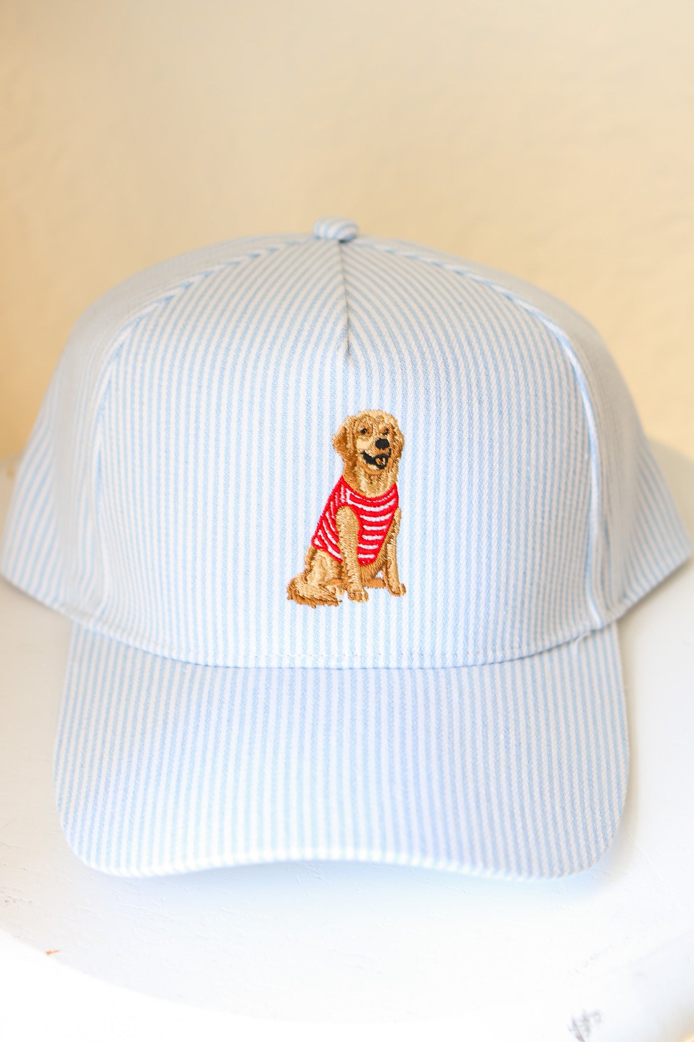 Striped Golden Retriever Hat (blue)