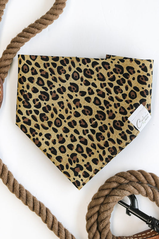 Wild Side Cheetah Bandana