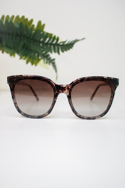 Lucy Sunglasses (cream tortoise)