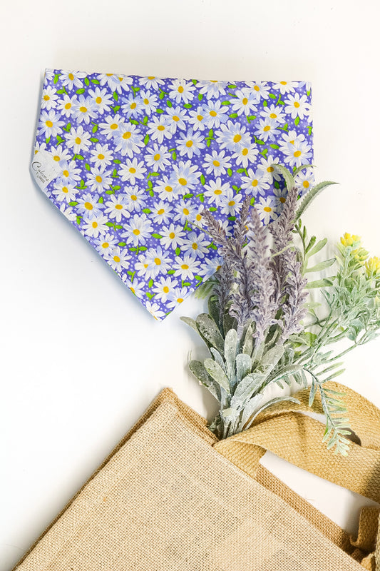 Purple Daisies Bandana