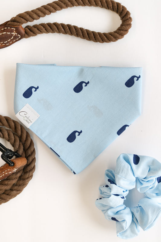 Blue Whales Bandana