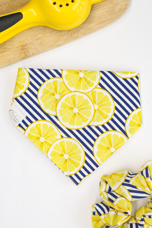 Lemon Slices Bandana