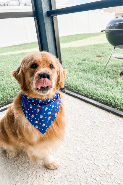 Star Spangled Popsicles Bandana