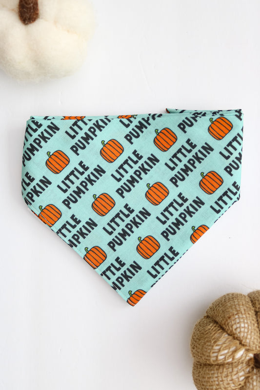 Little Pumpkin Bandana