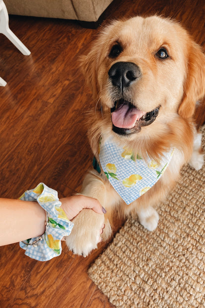 Fresh Lemons Bandana