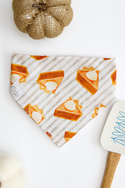 Pumpkin Pie Slice Bandana