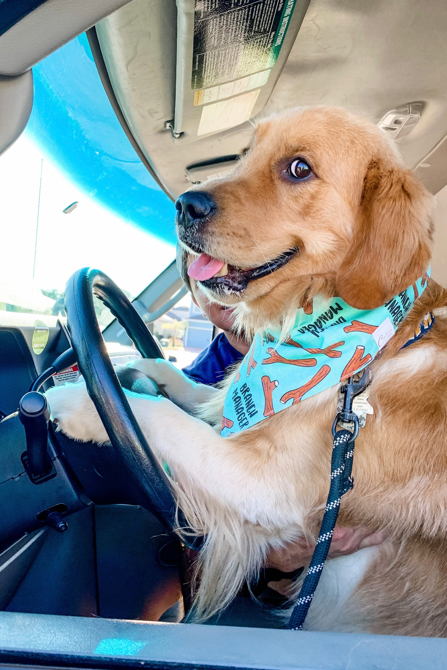 Branch Manager Bandana (mint)