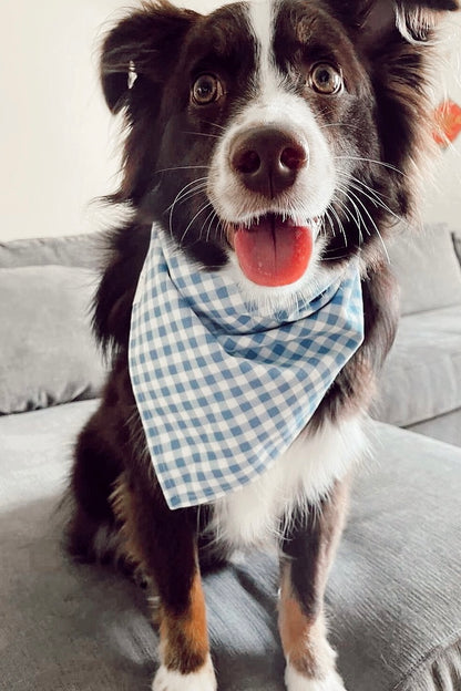 Dapper Blue Plaid Bandana