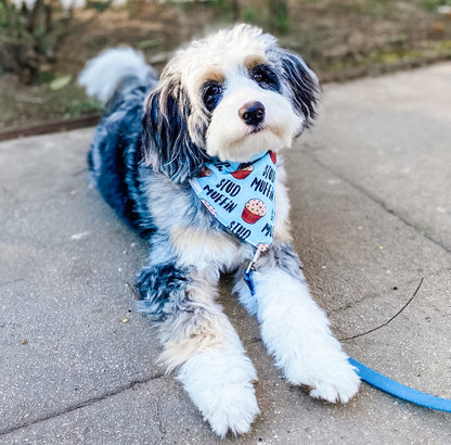 Stud Muffin Bandana