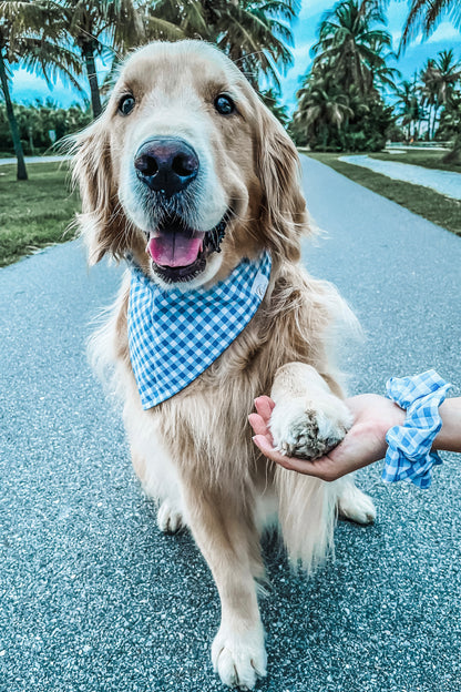 Dapper Blue Plaid Bandana