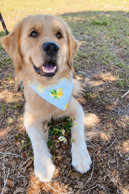 Fresh Lemons Bandana